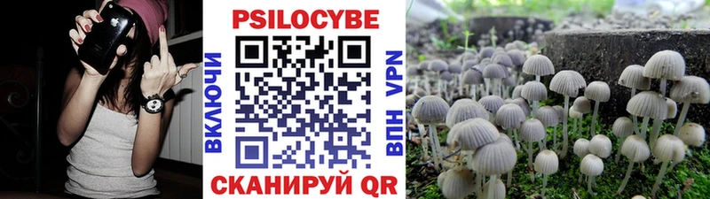 OMG зеркало  Коломна  Псилоцибиновые грибы прущие грибы 